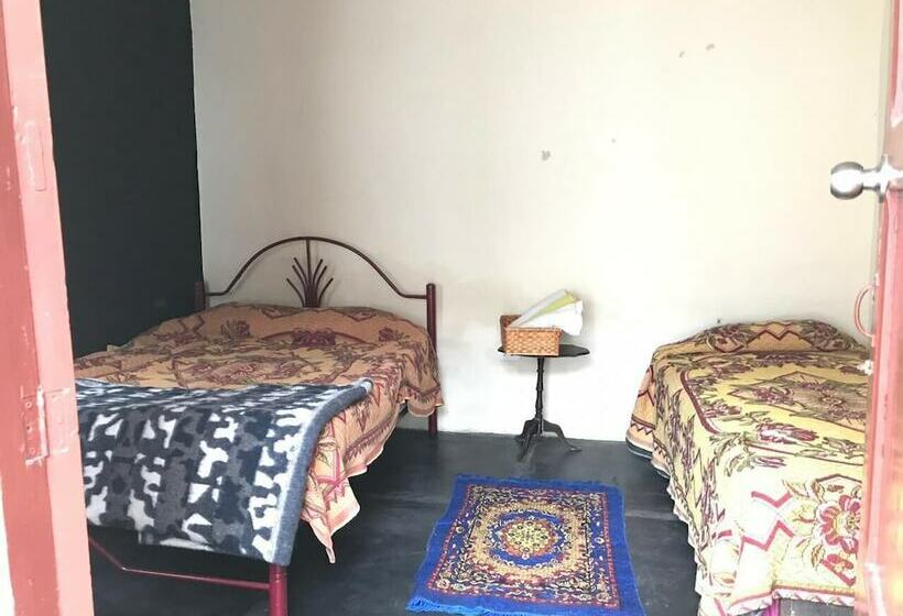 Bed and Breakfast Nuna Hostel