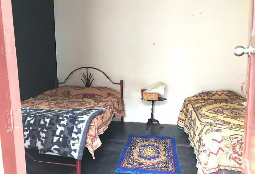 ベッドアンドブレックファースト Nuna Hostel