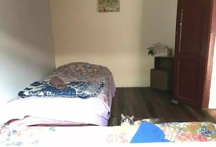 ベッドアンドブレックファースト Nuna Hostel
