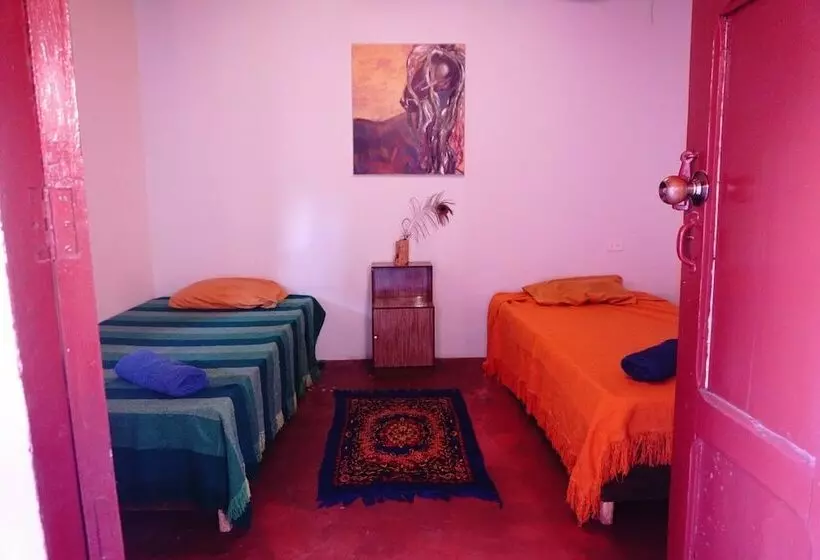 ベッドアンドブレックファースト Nuna Hostel