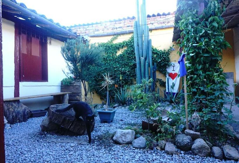 Bed and Breakfast Nuna Hostel