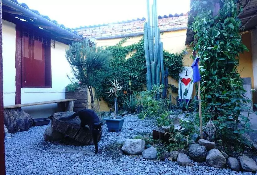 ベッドアンドブレックファースト Nuna Hostel