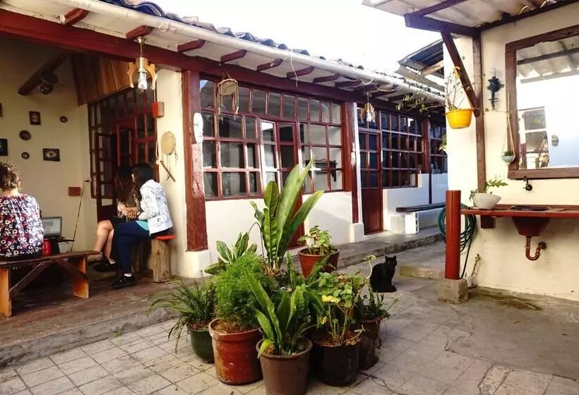 ベッドアンドブレックファースト Nuna Hostel