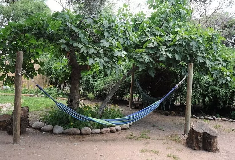 Hostel Jaracanda