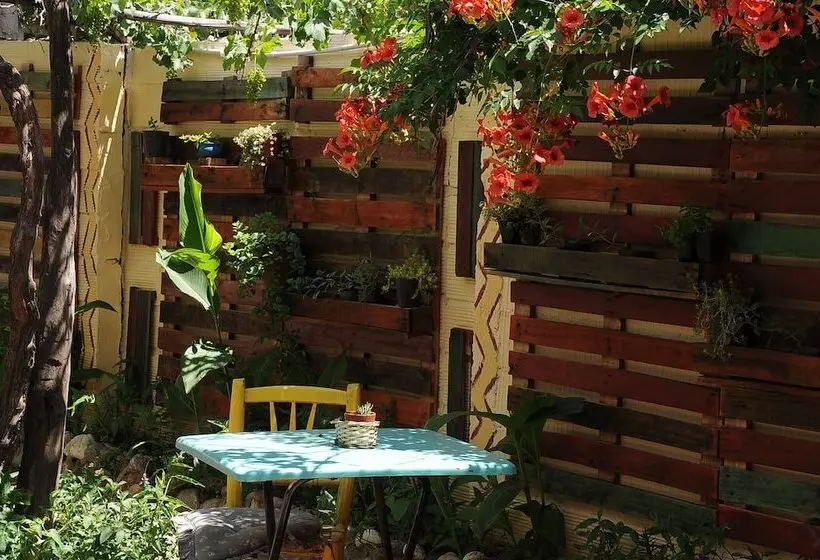 Hostel Jaracanda