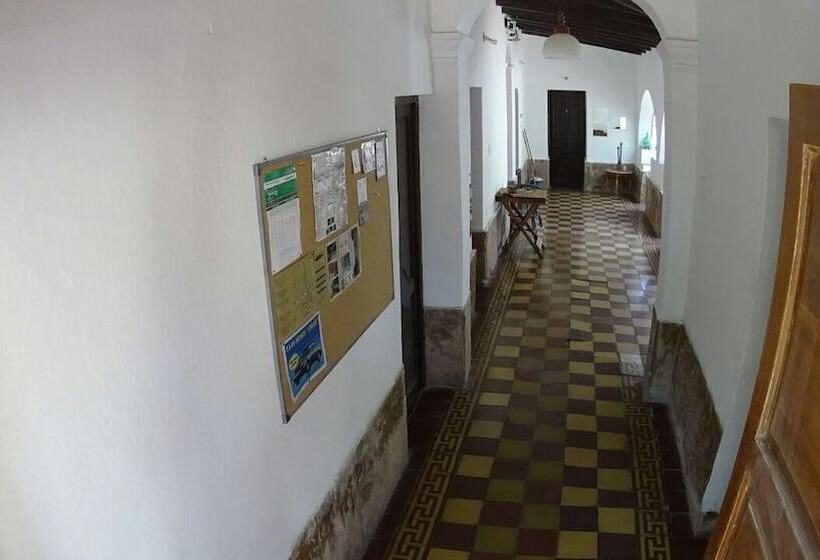 Hostel Jaracanda