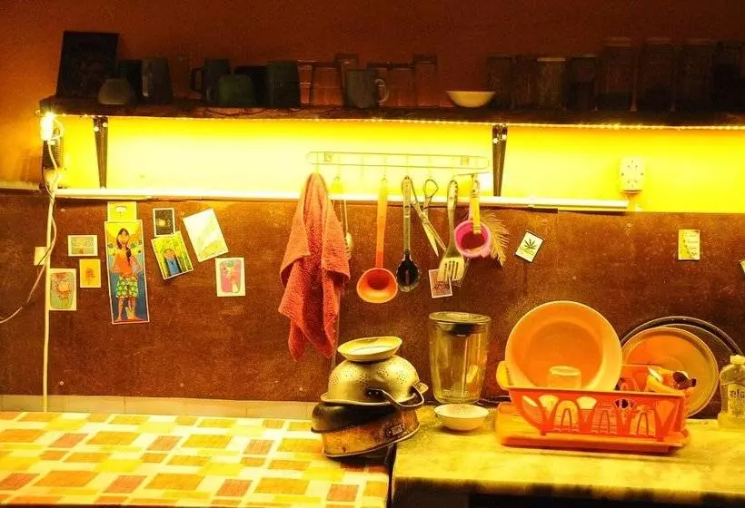 Hostel Jaracanda