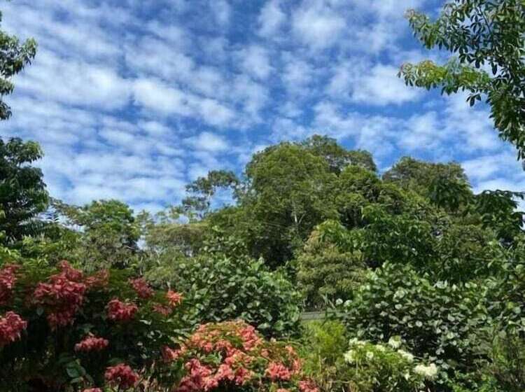 هتل Casa Amazonas