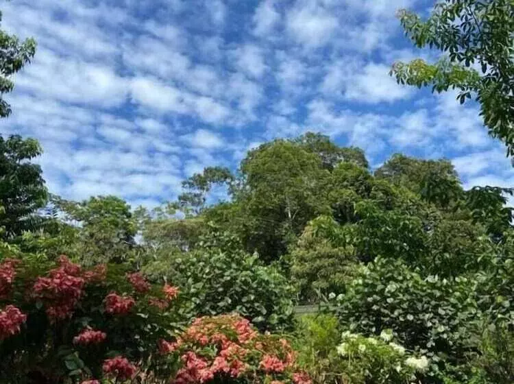 ホテル Casa Amazonas
