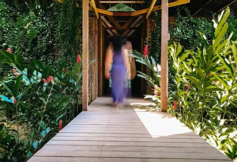 ホテル Casa Amazonas