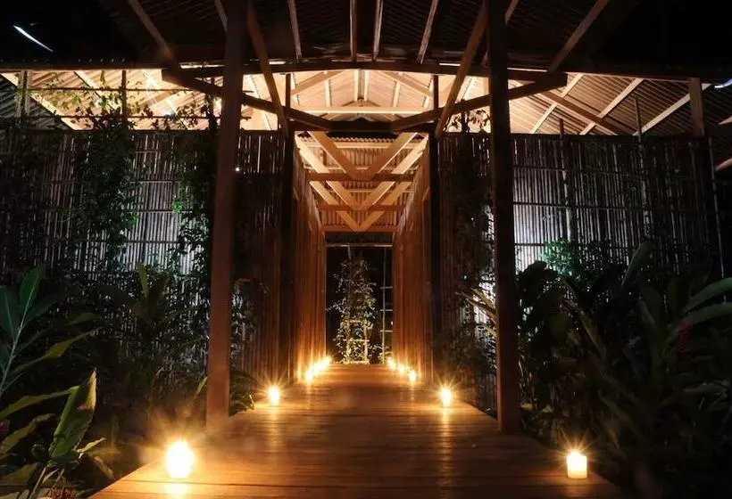 ホテル Casa Amazonas