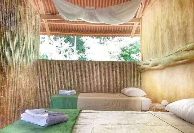 ホテル Casa Amazonas