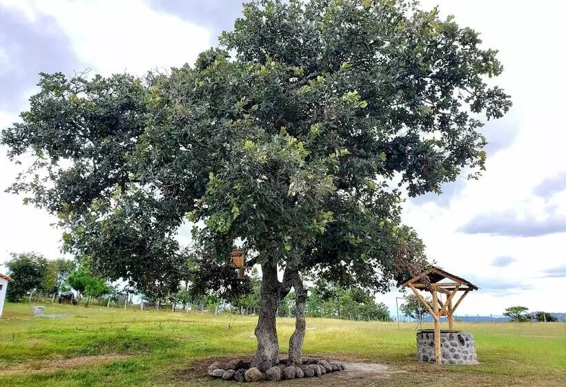 هتل Hacienda Del Café