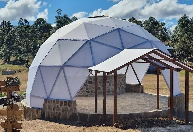 هتل Hacienda Del Café