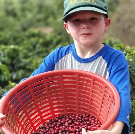 هتل Hacienda Del Café