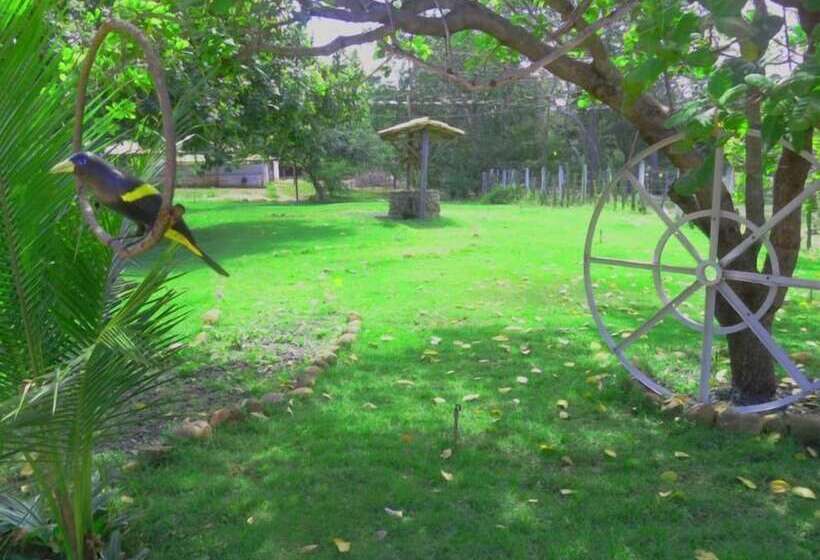 ホテル Oca Tocarijus Eco Resort