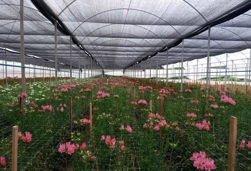 Otel Pousada Das Flores