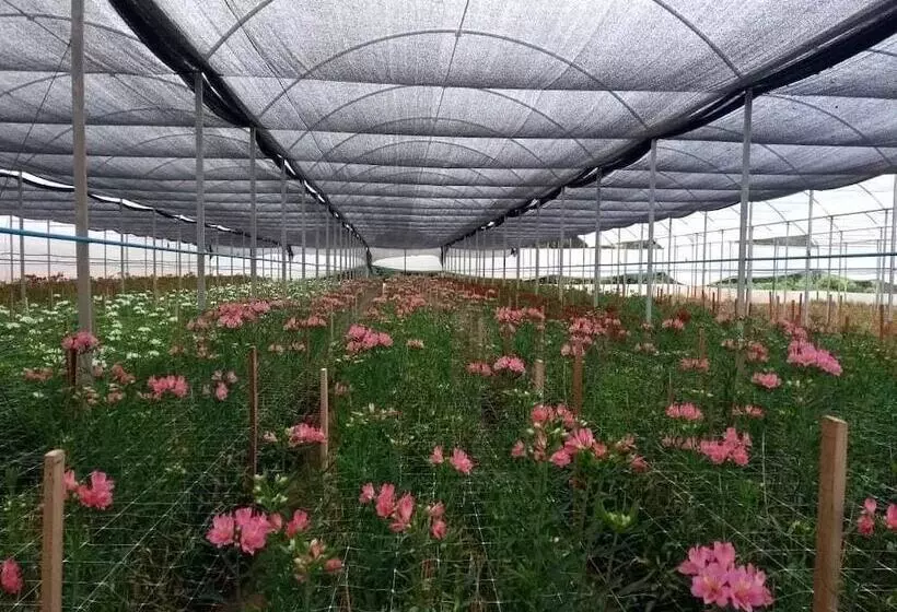 ホテル Pousada Das Flores