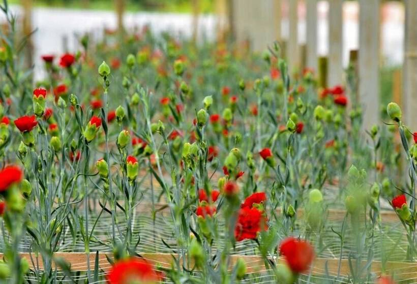 Otel Pousada Das Flores