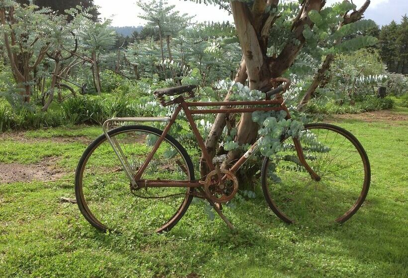 호텔 Rancho El Caballero