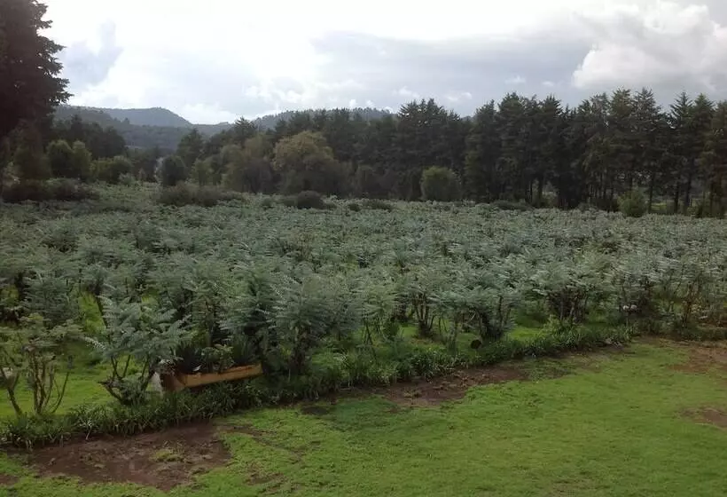 ホテル Rancho El Caballero