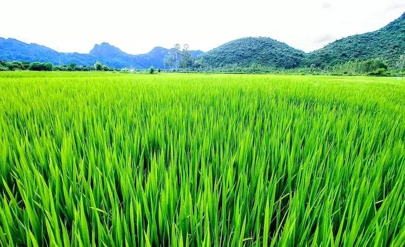 هتل Trung Duc