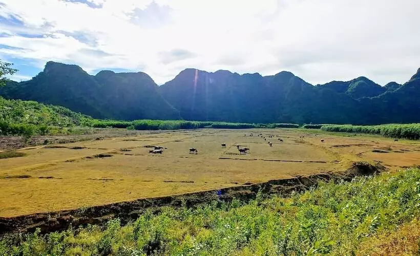 هتل Trung Duc