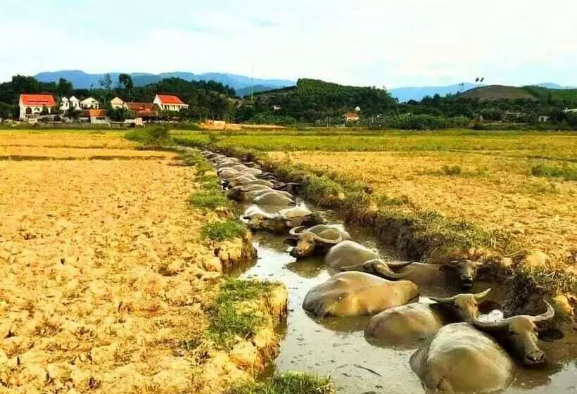 هتل Trung Duc