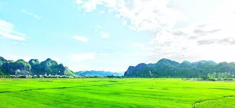 هتل Trung Duc