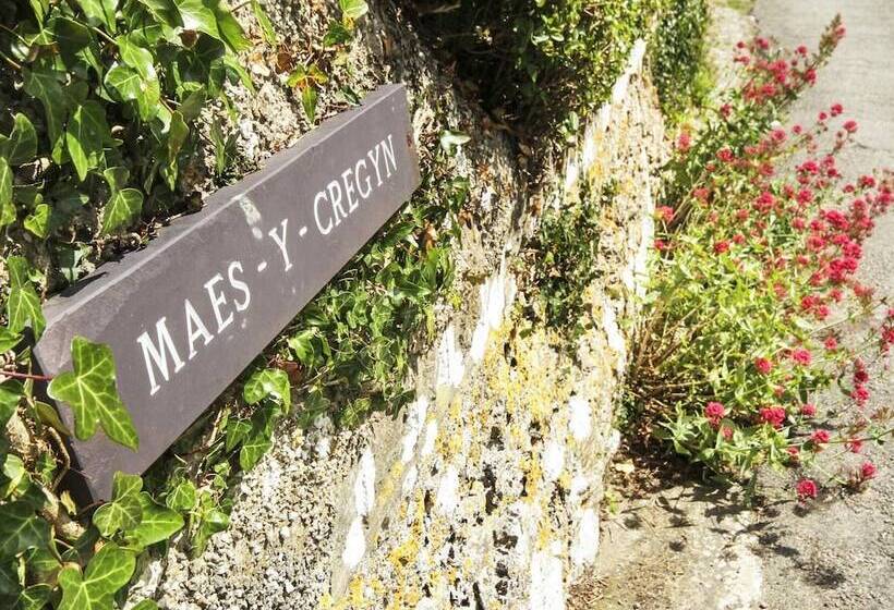 Maes Y Cregyn
