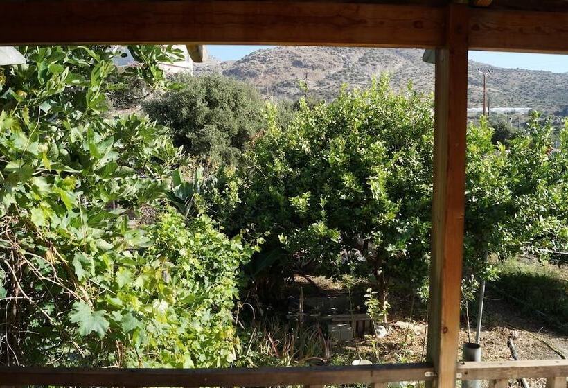 بنسيون Jason Rooms & Studios