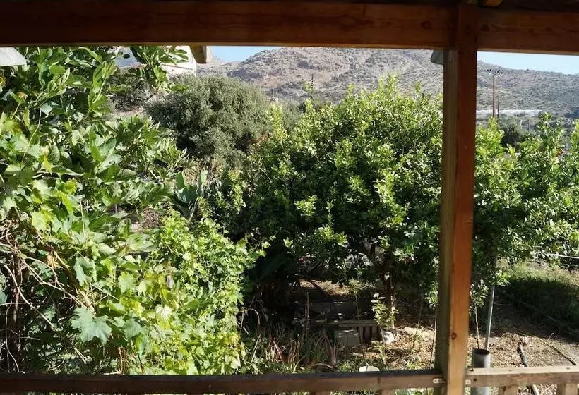 ペンション Jason Rooms & Studios