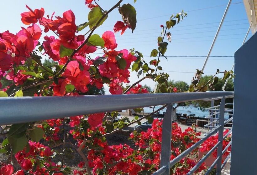 بنسيون Jason Rooms & Studios