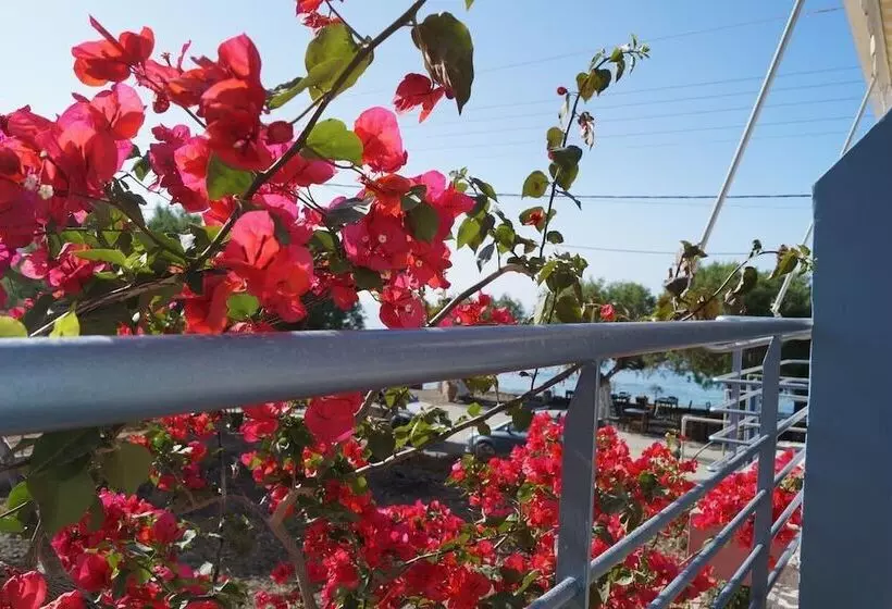 ペンション Jason Rooms & Studios