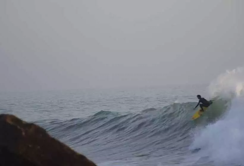 Majatalo Mint Surf