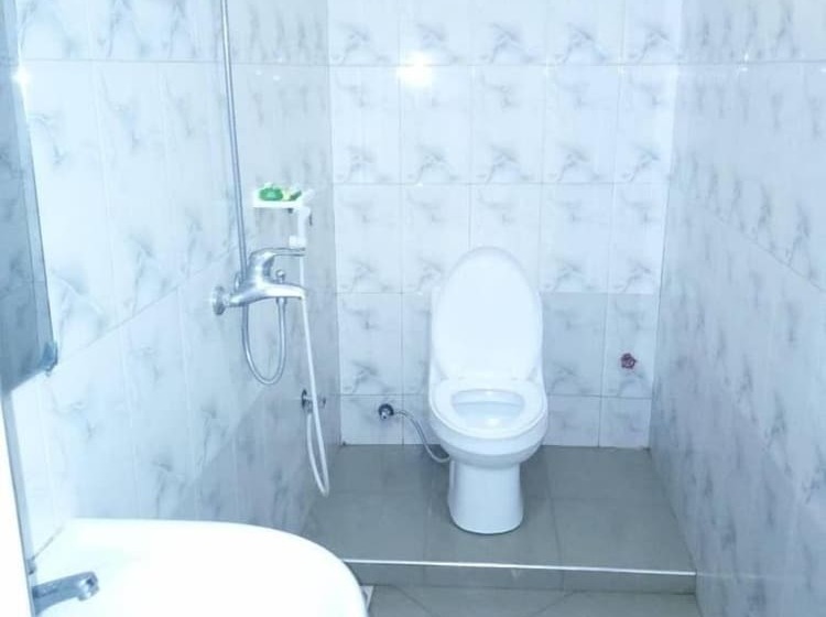 Пансион Msafiri Lodge