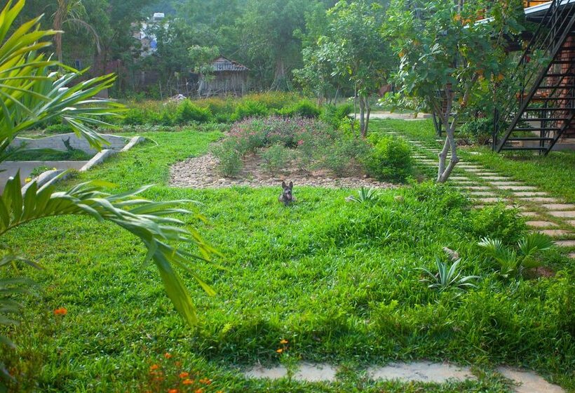 پانسیون Phong Nha Bolero Bungalow