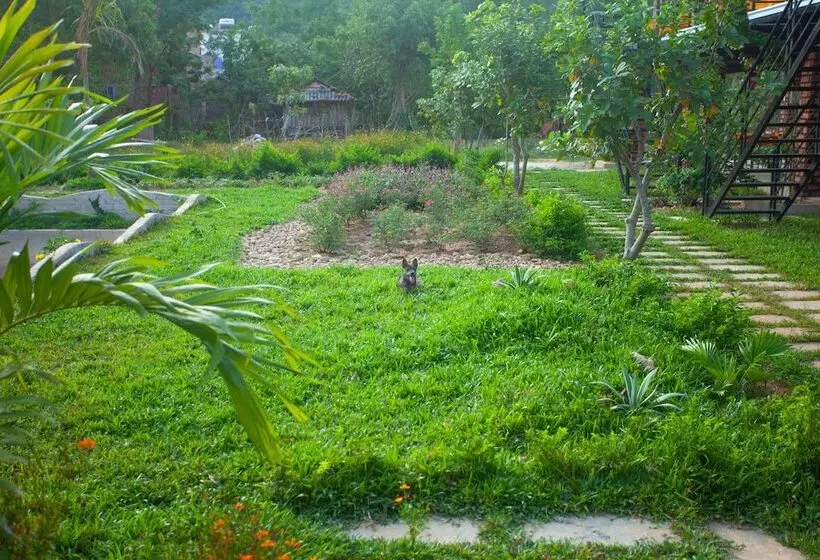 پانسیون Phong Nha Bolero Bungalow