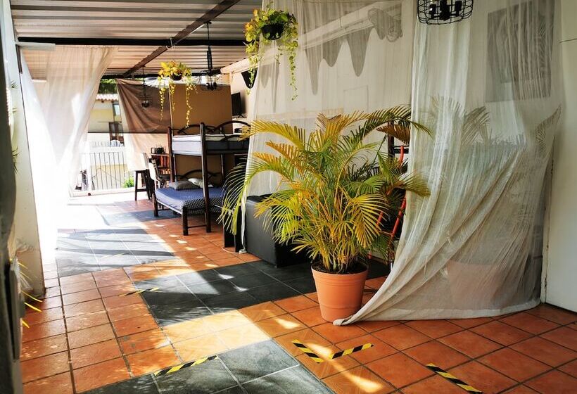 Vela Lounge & Hostel Pv Caters To Male