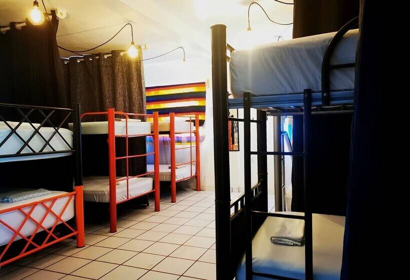 Vela Lounge & Hostel Pv Caters To Male