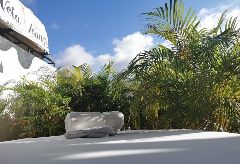 Vela Lounge & Hostel Pv Caters To Male