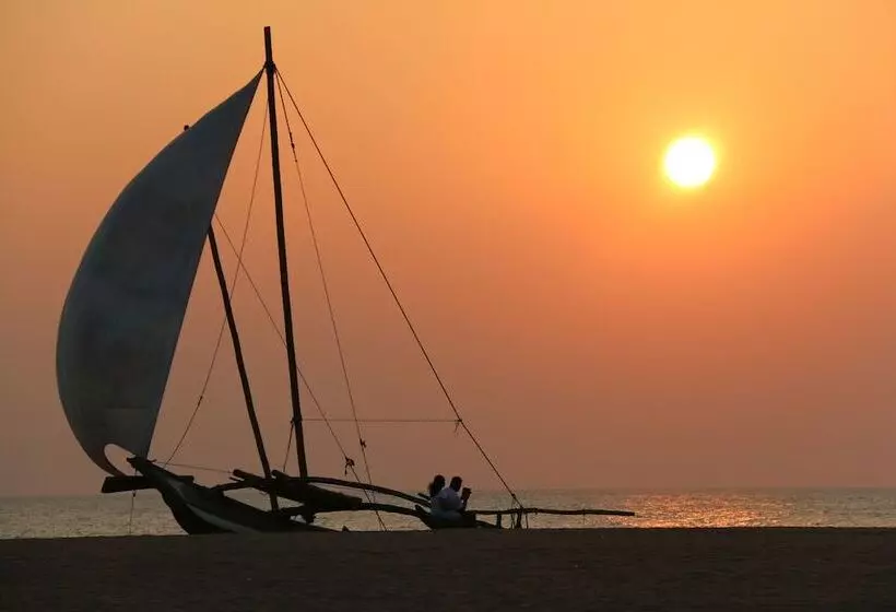 ベッドアンドブレックファースト Janishi Residencies