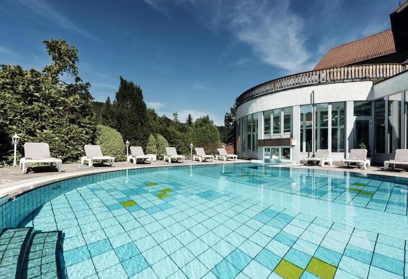 Donna Burghotel Am Hohen Bogen