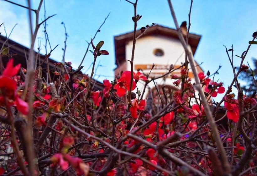 فندق Antiguo Camino