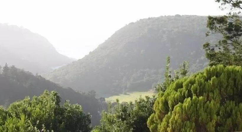 هتل Carmel Guest Farm