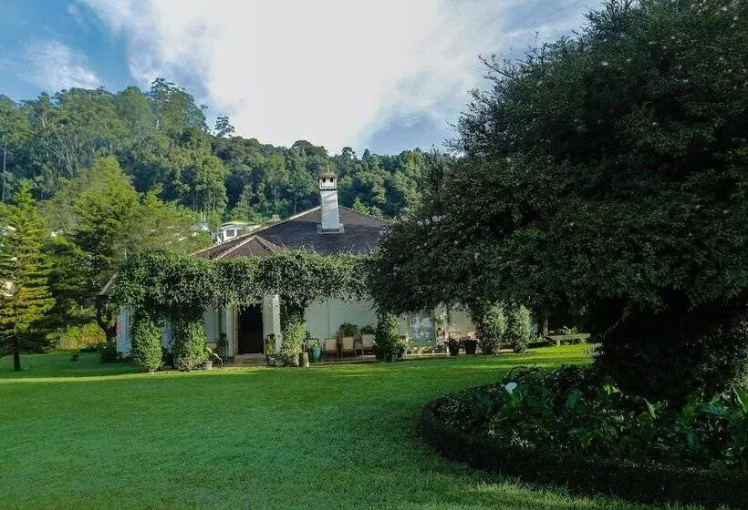 ホテル Craigbank Nuwaraeliya