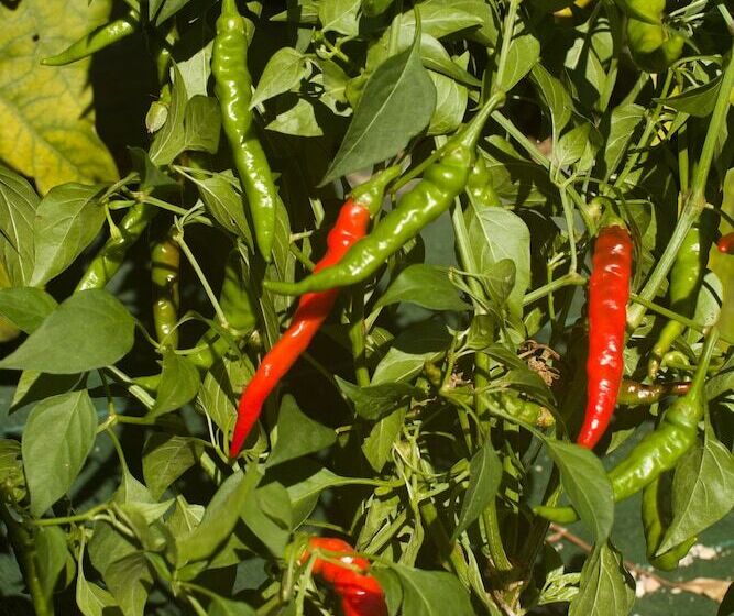 ホテル Restaurant Du Parc En Bord De Rivière