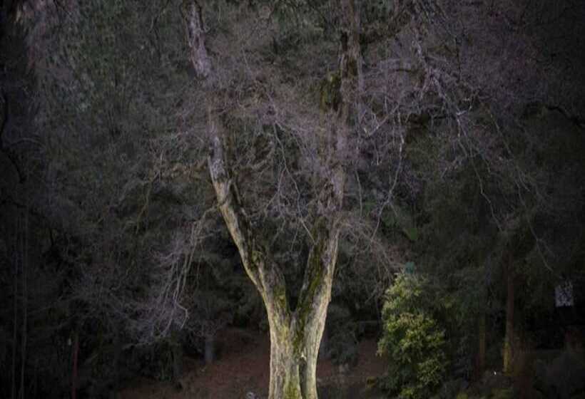 호텔 Rincón De Los Andes Resort