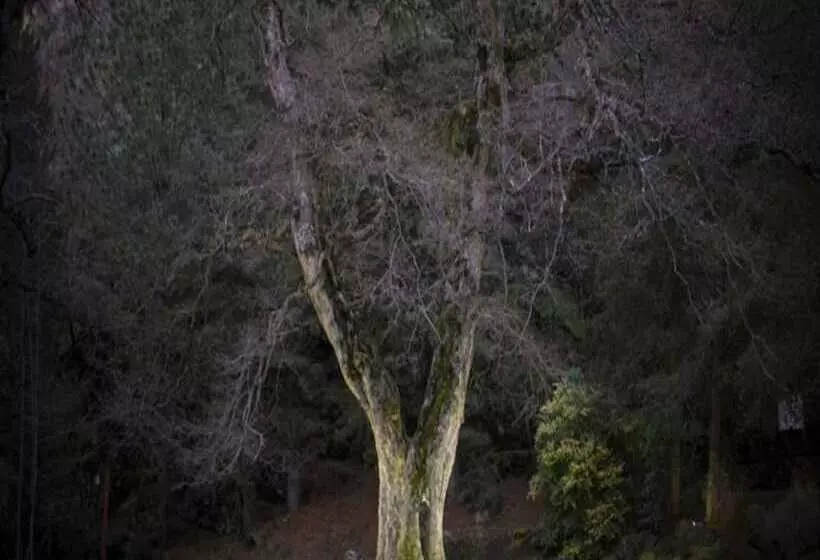 Otel Rincón De Los Andes Resort