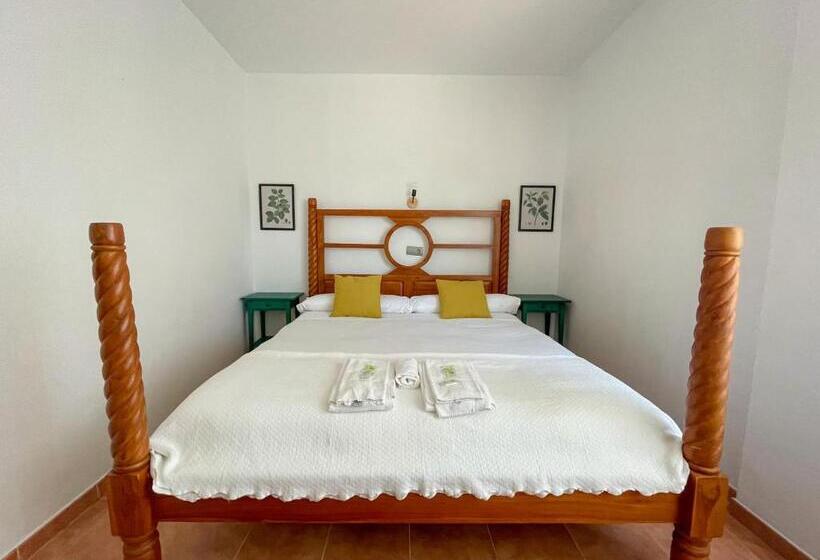 בית מלון כפרי Arena Surf